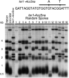 F<sc>igure</sc> 5.—