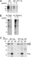 FIG. 5.
