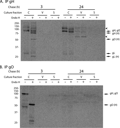 FIG. 9.