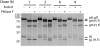 FIG. 8.