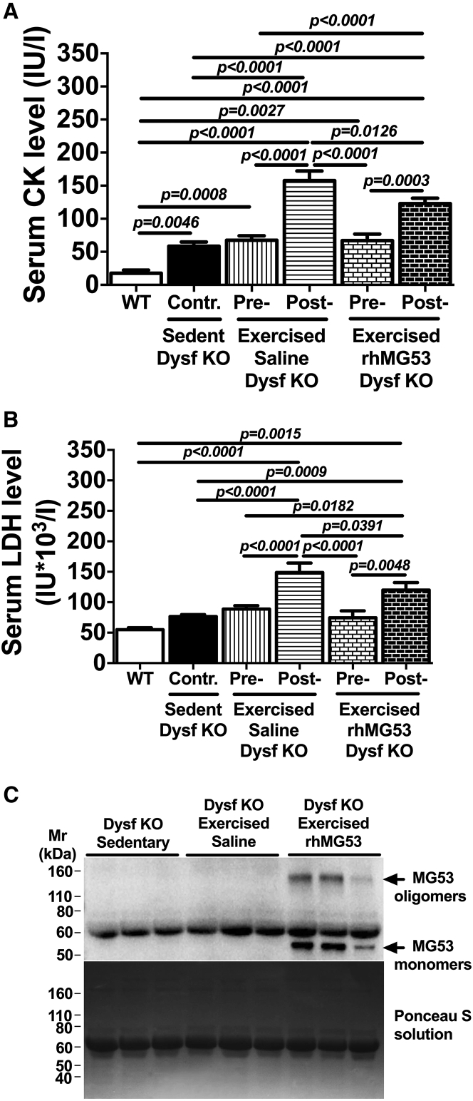 Figure 4