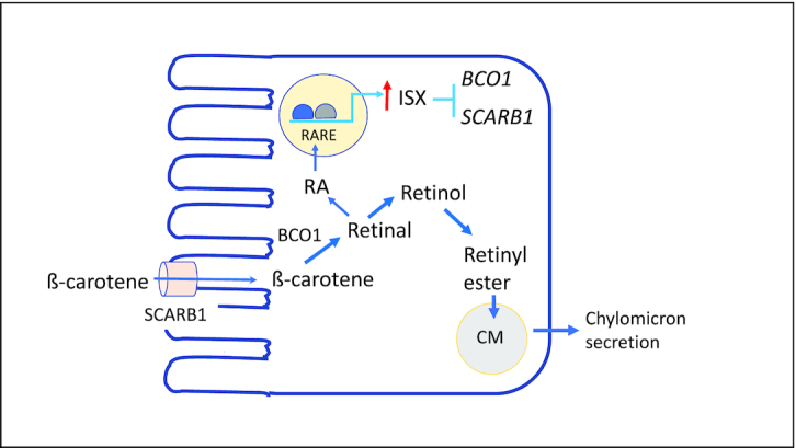 FIGURE 2