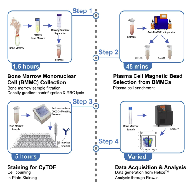 graphic file with name fx1.jpg