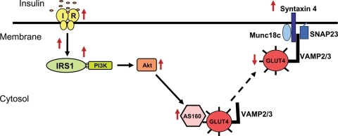 Figure 9