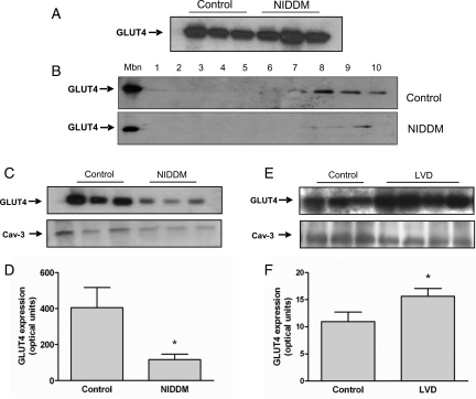 Figure 5