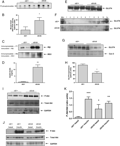 Figure 6