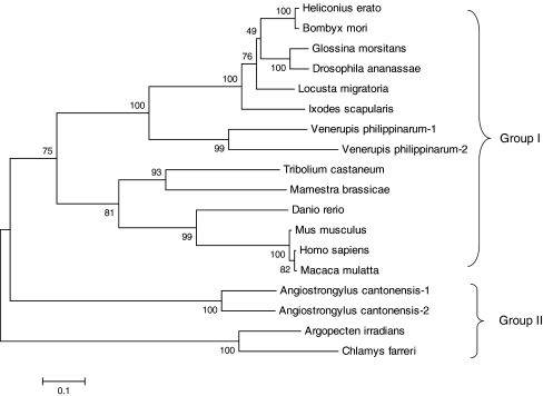 Fig. 3