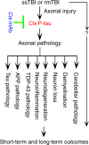Fig. 9
