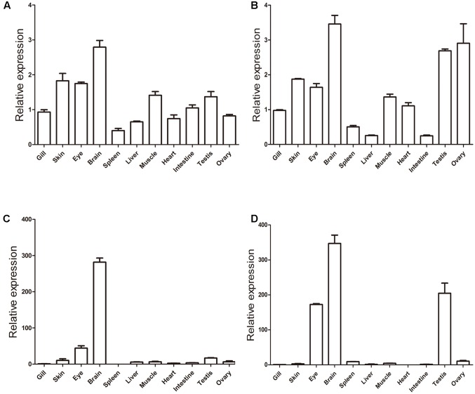 FIGURE 10