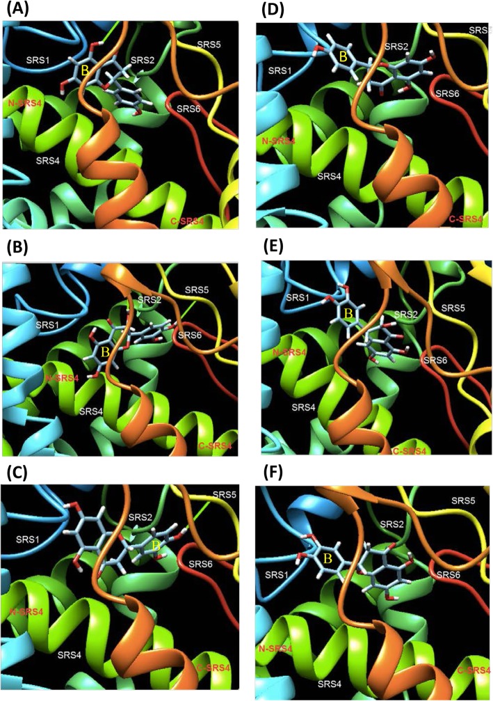 Fig. 6