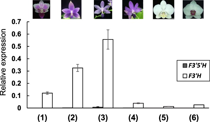 Fig. 3