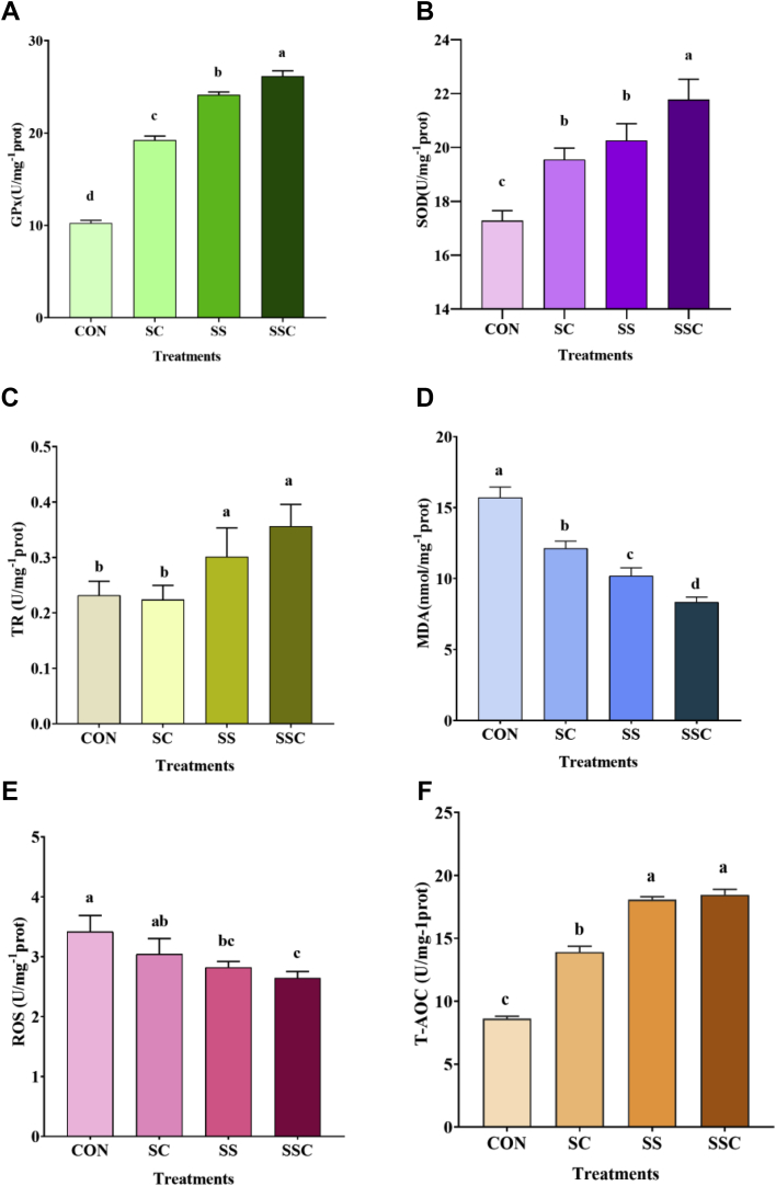 Figure 3