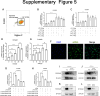 Supplementary figure 5