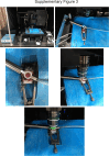 Supplementary figure 3