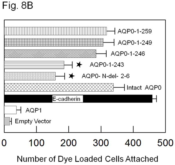 Fig. 8