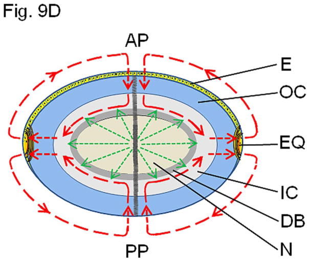 Fig. 9