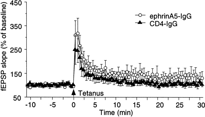 Fig. 12.