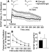 Fig. 11.