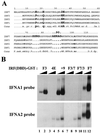 FIG. 9