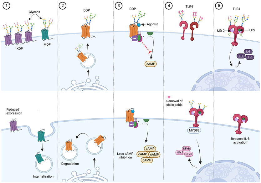 Figure 2: