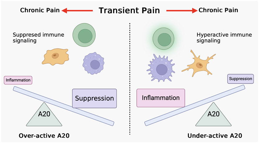 Figure 3: