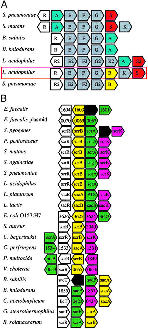 Fig. 4.