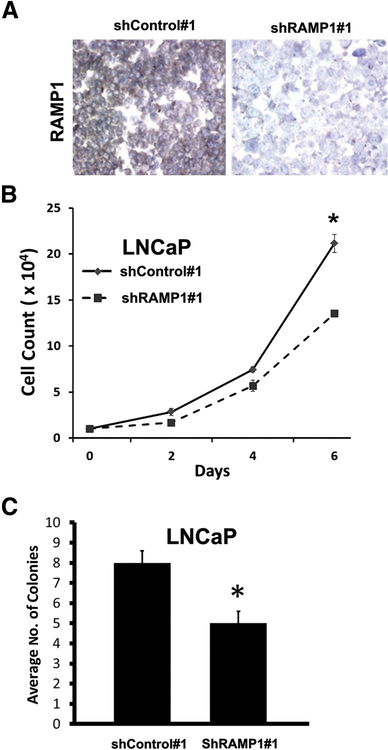 Figure 5