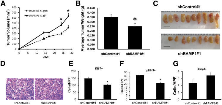 Figure 6