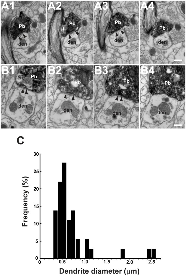 Fig 5