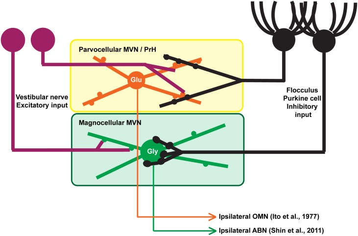 Fig 8