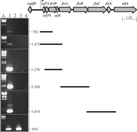 FIG. 5.