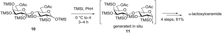 Scheme 4