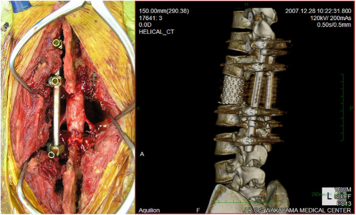 Fig. 4