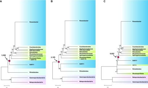 FIG 1 