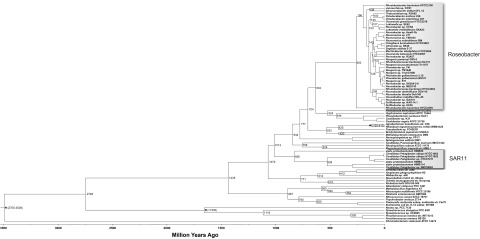 FIG 6 