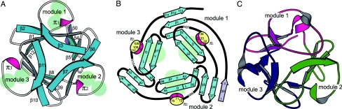 Fig. 6.