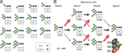 Fig. 4.