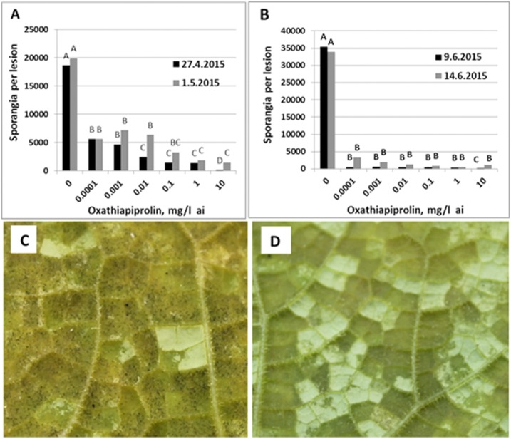 Fig 8