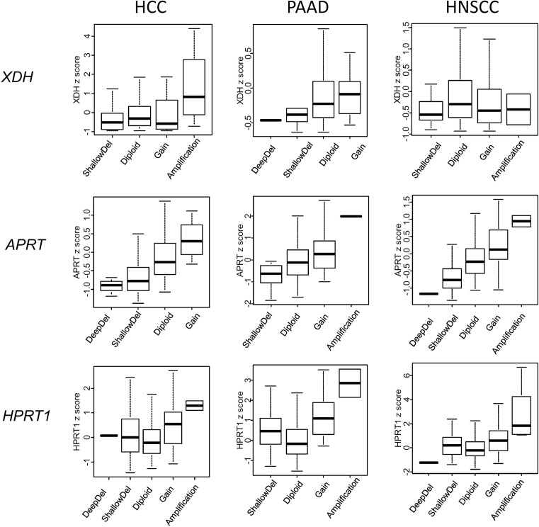 A pan cancer study of the transcriptional regulation of uricogenesis in