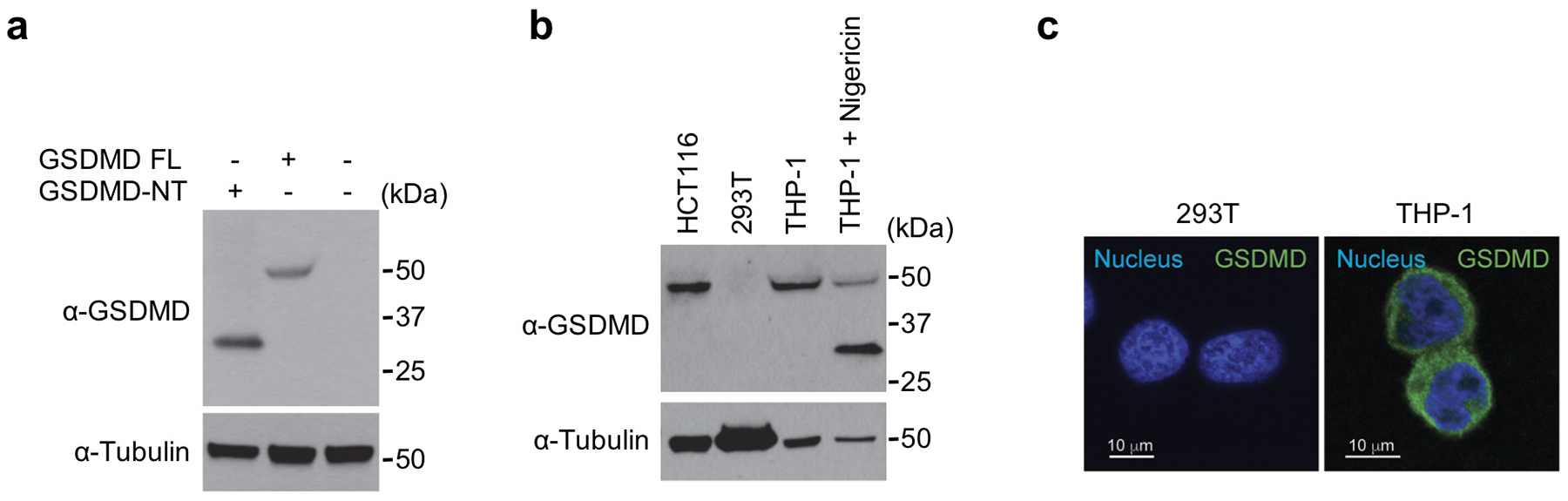 Extended Data Fig. 6