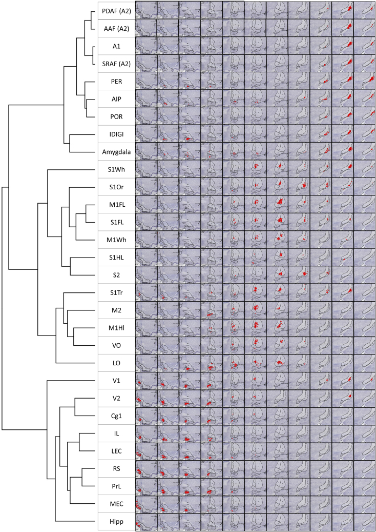 Figure 7