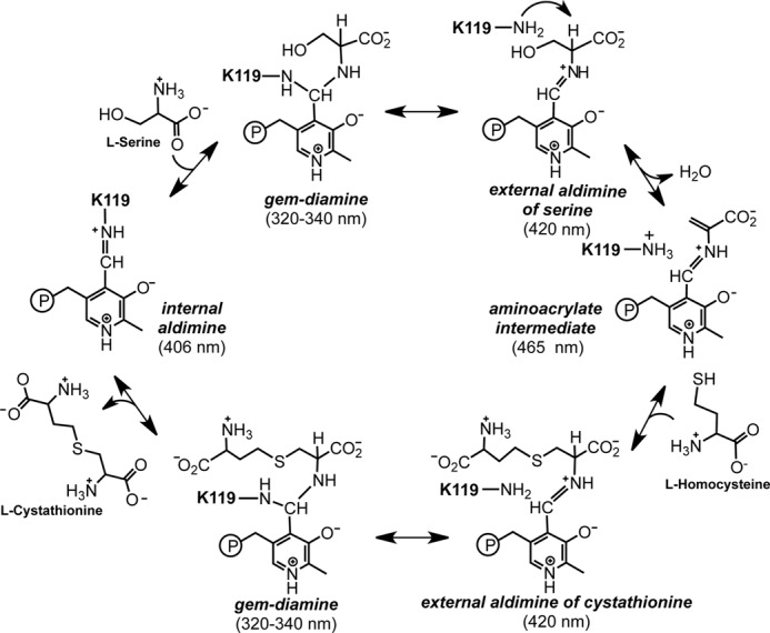 FIGURE 2.