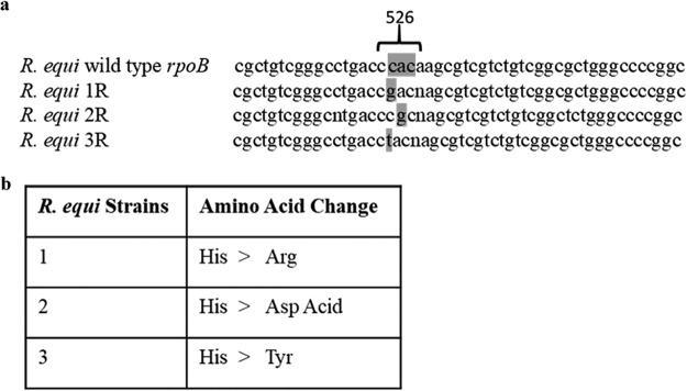 FIG 6
