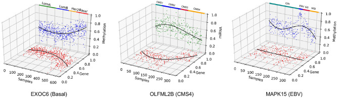 Figure 12