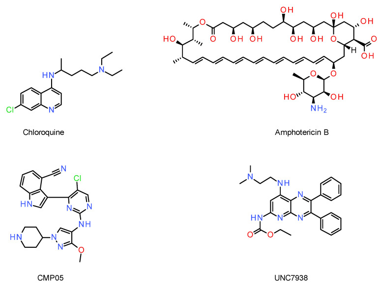 Figure 7