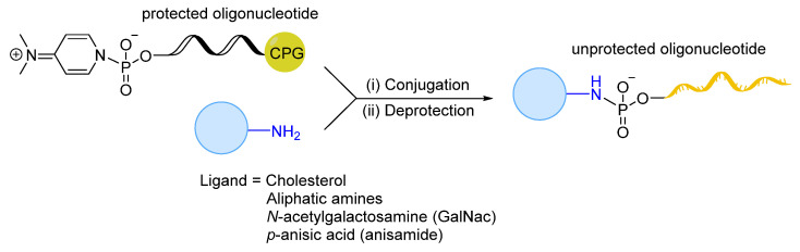 Figure 22