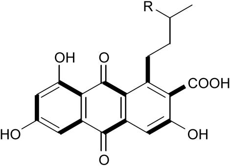 A synthetic polyketide