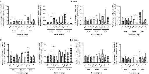 Figure 8A comprises four bar graphs with standard error of the mean each plotting fold change of Esr1 mRNA expression (relative units), fold change of Pgr mRNA expression (relative units), fold change of Ar mRNA expression (relative units), and fold change of Gper1 mRNA expression (relative units) on the y-axis across dosage (milligrams per kilogram; x-axis) in mammary tissue from female offspring exposed to BPA, BPAF, and BPS at 8 months. Figure 8B plot the same as in 8A in female offspring exposed to BPA, BPAF, and BPS at 14 months.