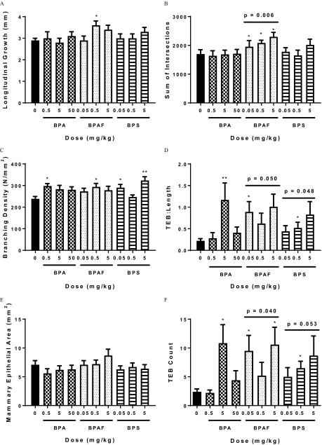 Figure 3A is a bar graph with standard errors of the mean plotting longitudinal growth of mammary epithelium (millimeters; y-axis) across dosage (milligrams per kilogram; x-axis) in female offspring exposed to BPA, BPAF, and BPS. Figure 3B is a bar graph with standard errors of the mean plotting sum of the intersections (y-axis) of mammary epithelium across dosage (milligrams per kilogram; x-axis) in female offspring exposed to BPA, BPAF (p equals 0.006), and BPS. Figure 3C is a bar graph with standard errors of the mean plotting epithelial branching density (Newton per millimeter squared; y-axis) across dosage (milligrams per kilogram; x-axis) in female offspring exposed to BPA, BPAF, and BPS. Figure 3D is a bar graph with standard errors of the mean plotting mammary T E B: length (millimeters; y-axis) across dosage (milligrams per kilogram; x-axis) in female offspring exposed to BPA, BPAF (p equals 0.050), and BPS (p equals 0.048). Figure 3E is a bar graph with standard errors of the mean plotting mammary epithelial area (millimeter squared; y-axis) across dosage (milligrams per kilogram; x-axis) in female offspring exposed to BPA, BPAF, and BPS. Figure 3F is a bar graph with standard errors of the mean plotting T E B count (millimeters; y-axis) across dosage (milligrams per kilogram; x-axis) in mammary glands of female offspring exposed to BPA, BPAF (p equals 0.040), and BPS (p equals 0.053).