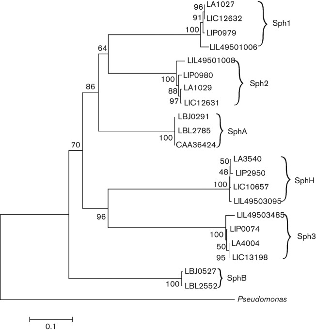 Fig. 3. 